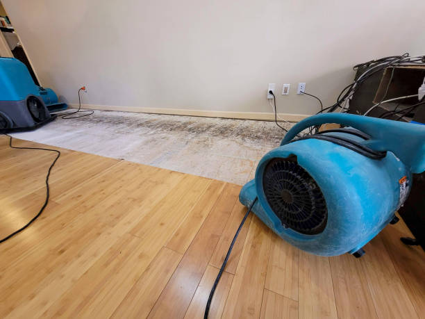Professional Water Damage Repair technician working in Bandera, TX